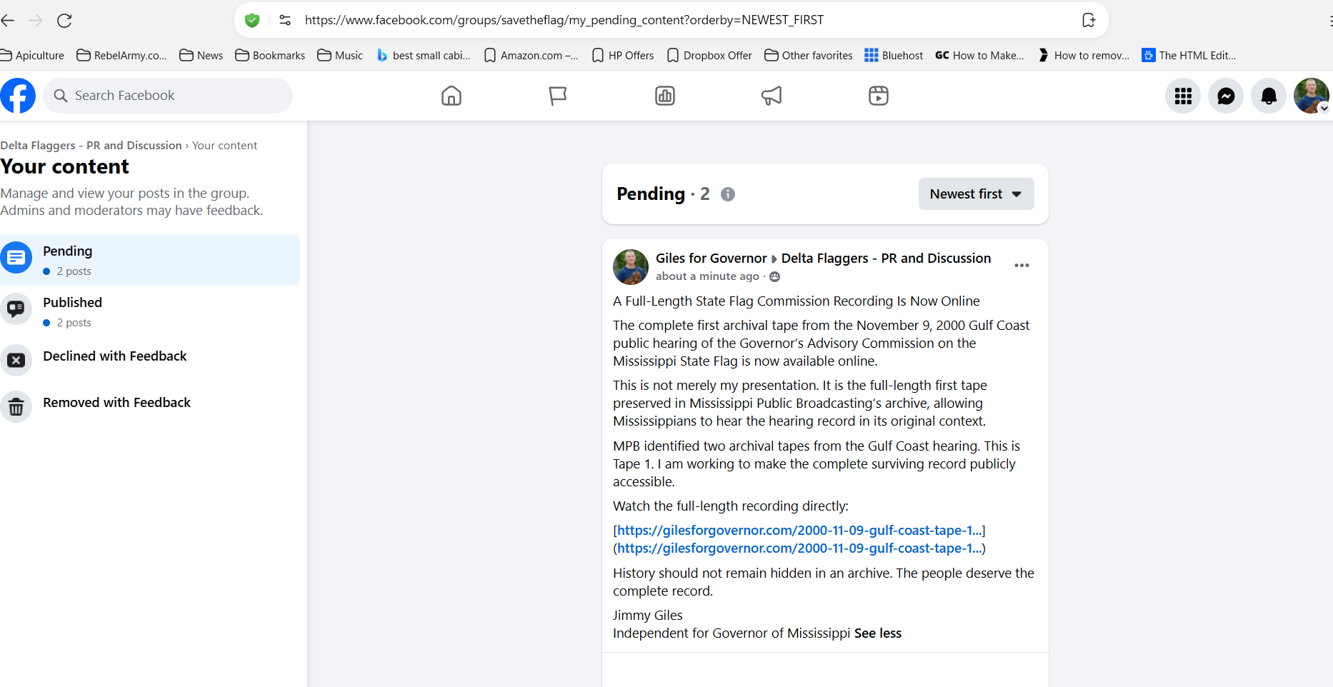 Facebook screen showing two Giles for Governor posts pending in Delta Flaggers — PR and Discussion